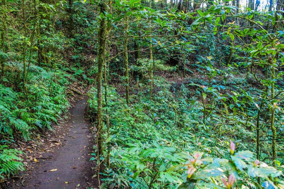Chiang Mai: Doi Inthanon, Waterfalls, & Tribal Villages Tour - Lunch, Timing, and the Reality of a 10-Hour Schedule