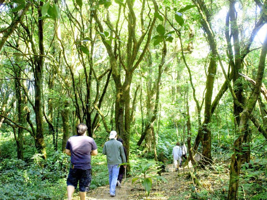 Chiang Mai: Doi Inthanon, Waterfalls, & Tribal Villages Tour - Price and Value: What $36 Gets You (and What’s Extra)