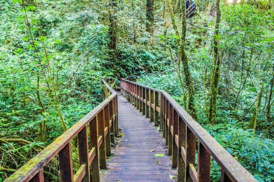 Chiang Mai: Doi Inthanon, Waterfalls, & Tribal Villages Tour - Helpful Booking Tips for a Smoother Day