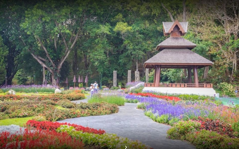 Chiang Mai: Doi Suthep National Park Leisure Hiking & Biking - The downhill mountain bike ride: fun factor plus real-road awareness