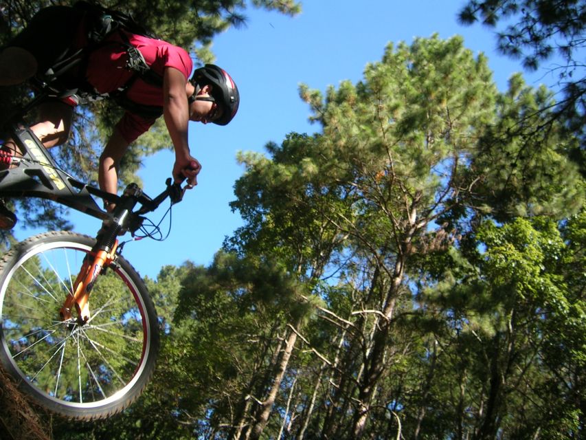 Chiang Mai: Doi Suthep National Park Leisure Hiking & Biking - Wat Phra That Doi Suthep: 3,600 feet elevation and the Northern Thailand center
