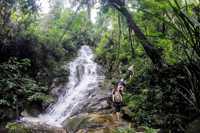 Chiang Mai: Doi Suthep Summit Trek – 7 Hour Pure Hiking Adventure - Why This 7-Hour Doi Pui Summit Trek Feels More Real Than Temple Hopping
