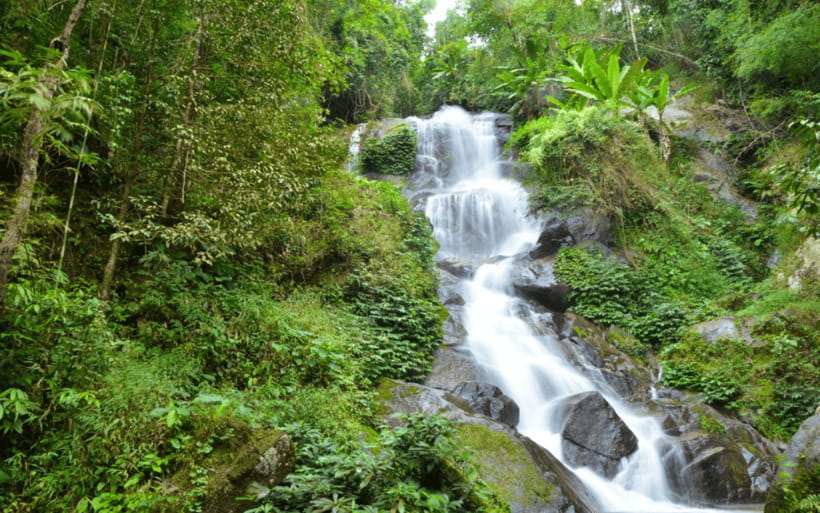 Chiang Mai: Doi Suthep Temple and Waterfall by Songtaew Trio - Wat Pha Lat: Lanna-Style Temple Beauty in the Forest