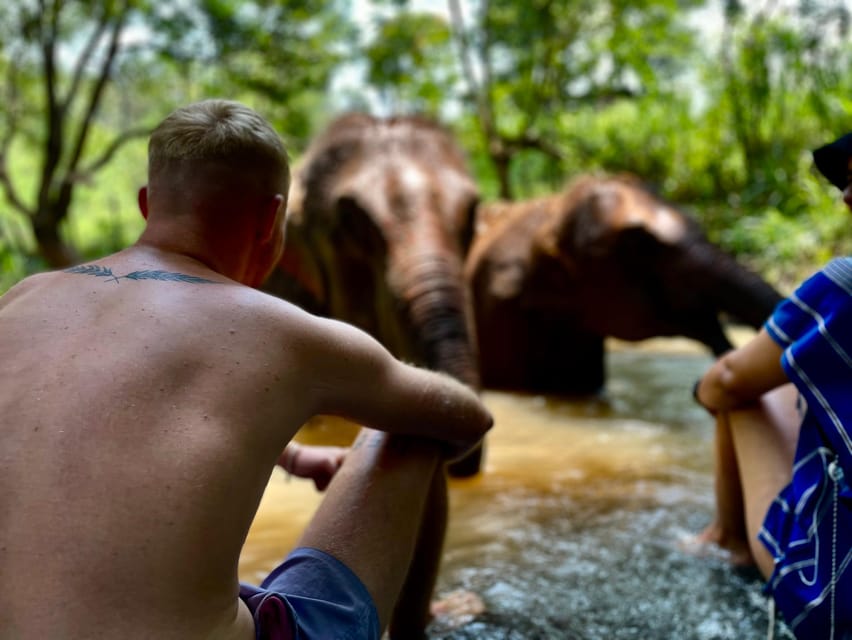 Chiang Mai: Elephant Dream Project Sanctuary - Half-Day - Meeting the Elephant Dream Project: the rules that set the tone