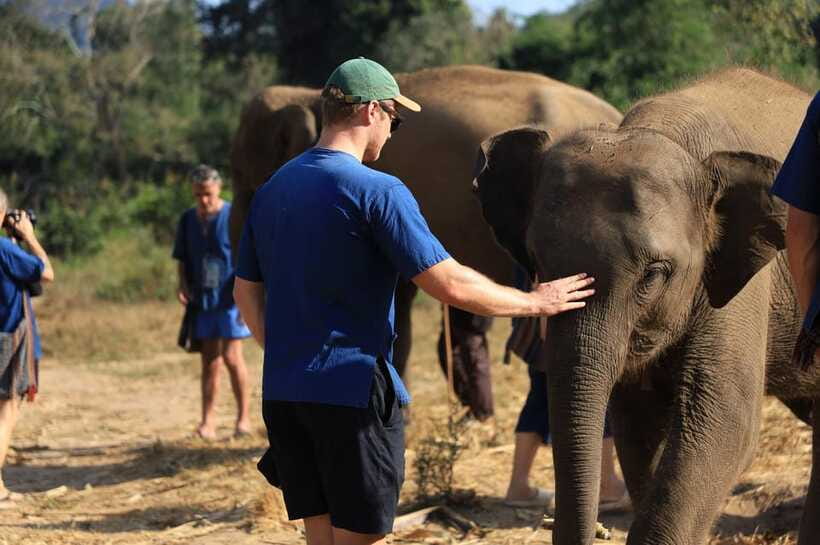 Chiang Mai: Elephant Sanctuary Bamboo Raft & Padthai Cooking - Bamboo Rafting on the Wang River: Row, Splash, and Chill