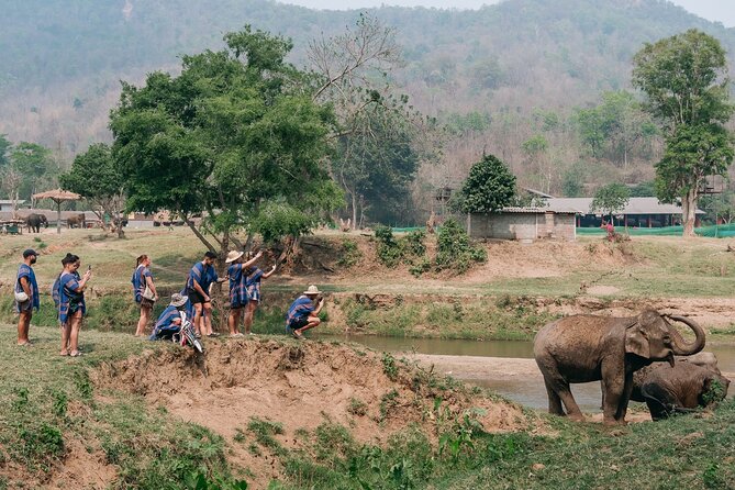Chiang Mai Elephant Sanctuary, Bamboo Rafting and Waterfall Tour - Who should book this, and who should think twice