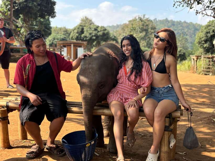 Chiang Mai: Elephant Sanctuary Feeding Program Half-Day Tour - Why this Chiang Mai elephant sanctuary tour feels different
