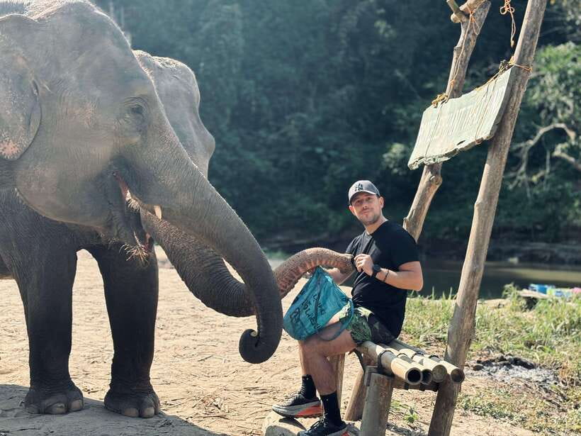 Chiang Mai: Elephant Sanctuary Feeding Program Half-Day Tour - Feeding Napier grass, sugarcane, bananas, and making herbal treats