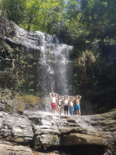 Chiang Mai: Elephant Sanctuary & Jungle Trek w/ Waterfall - Key things you’ll notice fast