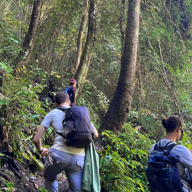 Chiang Mai: Elephant Sanctuary & Jungle Trek w/ Waterfall - Shan village lunch: simple, local, and timed well