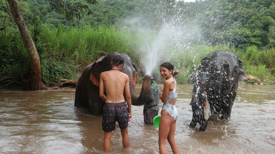 Chiang Mai: Elephant Sanctuary & Jungle Trek w/ Waterfall - What to bring (and what to skip)