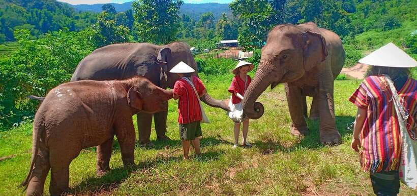 Chiang Mai: Elephant Sanctuary Local Hill Tribe Caretakers - Timing, groups, and why your afternoon might change