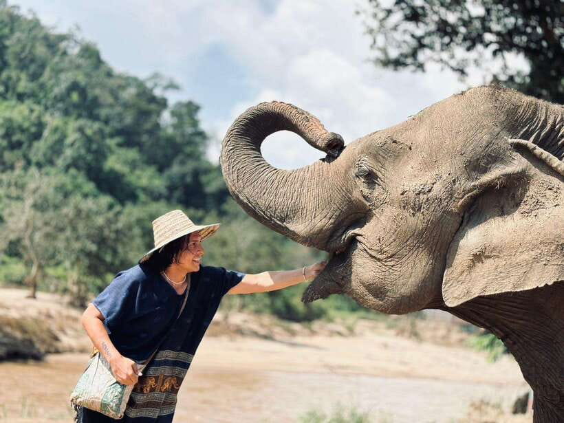 Chiang Mai: Elephant Sanctuary, Long Neck & Sticky Waterfall - Elephant Sanctuary Caretaker Time: Herbal Treats, Feeding, Walking, and River Bath