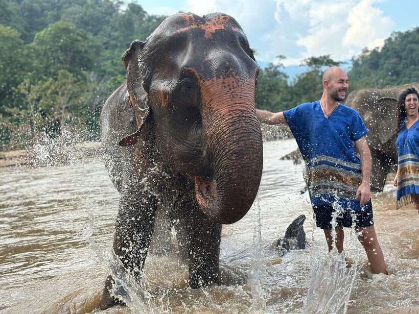 Chiang Mai: Elephant Sanctuary, Long Neck & Sticky Waterfall - Guide and Group Handling: The Names You Keep Seeing in Reviews