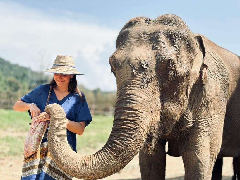 Chiang Mai: Elephant Sanctuary, Long Neck & Sticky Waterfall - Value for $63: Does This Tour Earn Its Price?