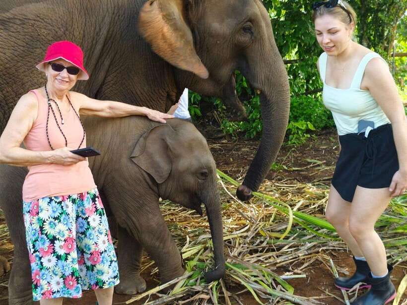 Chiang Mai: Elephant Sanctuary, Monk Trail & Doi Suthep Tour - Key points you’ll actually care about