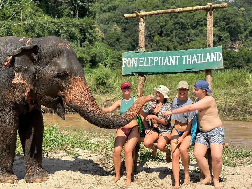 Chiang Mai: Elephant Sanctuary, Waterfall & Bamboo Rafting - Mae Wang waterfalls: a real swim break before the sanctuary