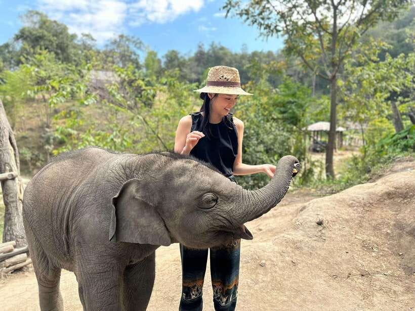 Chiang Mai: Elephant Sanctuary & Waterfall Group Tour - Group vibe and guide quality: what varies and what doesn’t