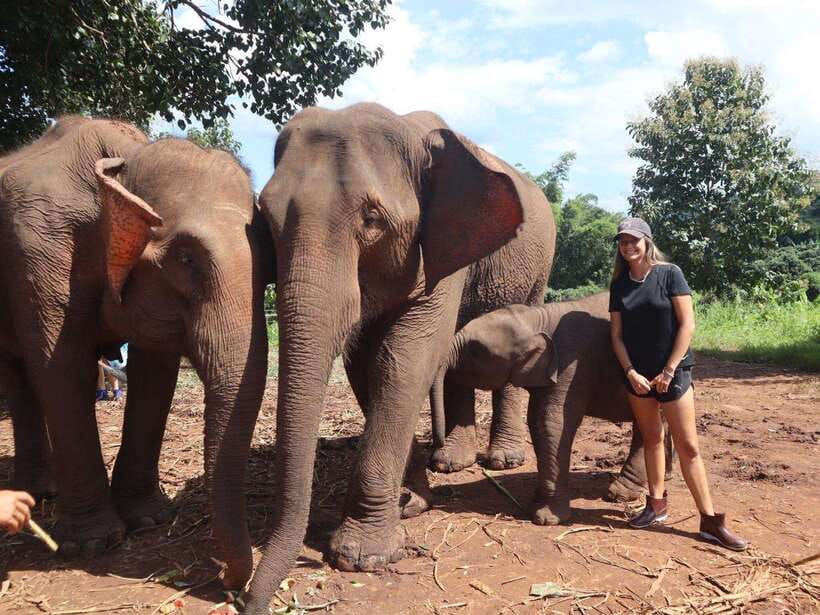 Chiang Mai: Elephant Sanctuary & Waterfall Group Tour - Chiang Mai to Mae Wang: a clear 7-hour rhythm
