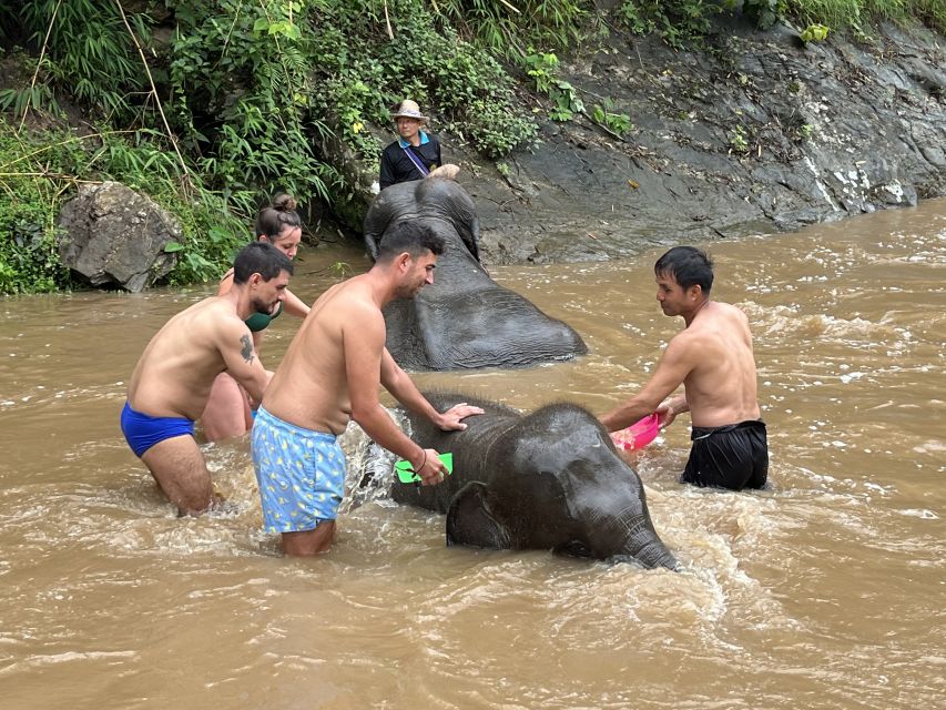 Chiang Mai: Elephant Sanctuary & Waterfall Group Tour - River bathing: the coolest moment on a hot day