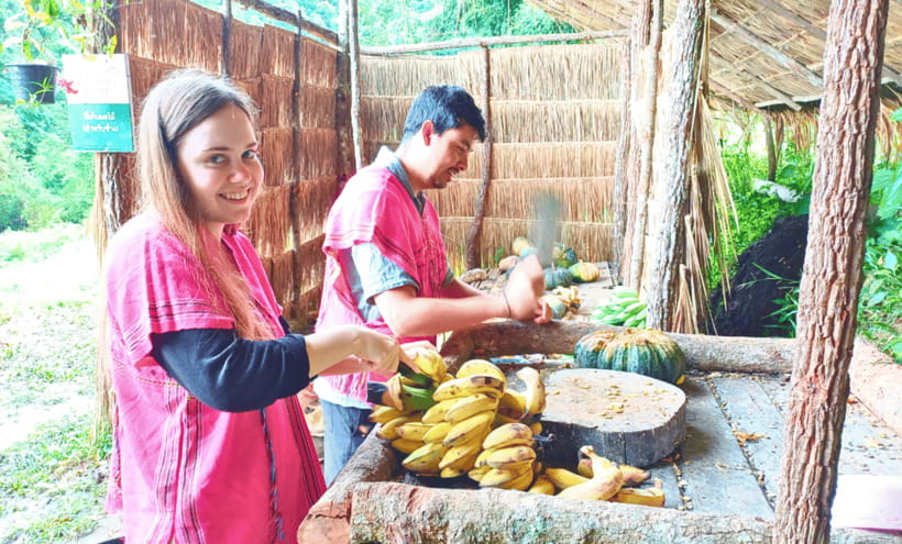 Chiang Mai: Ethical Half Day Elephant Sanctuary & Waterfall - Key takeaways before you go