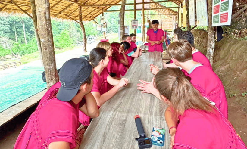 Chiang Mai: Ethical Half Day Elephant Sanctuary & Waterfall - The 7-hour reality behind a half-day program
