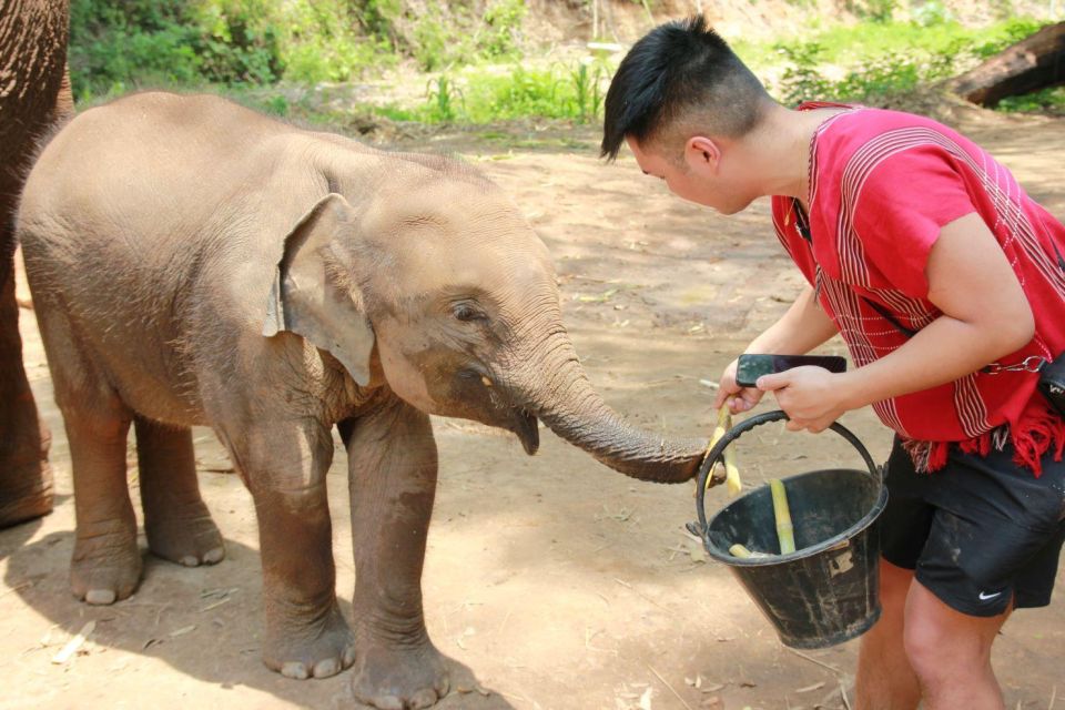 Chiang Mai: Full-Day Kerchor Elephant Eco Park Tour & Trek - Bamboo Rafting on Muddy Rapids: Fun, Wet, and Usually Safe