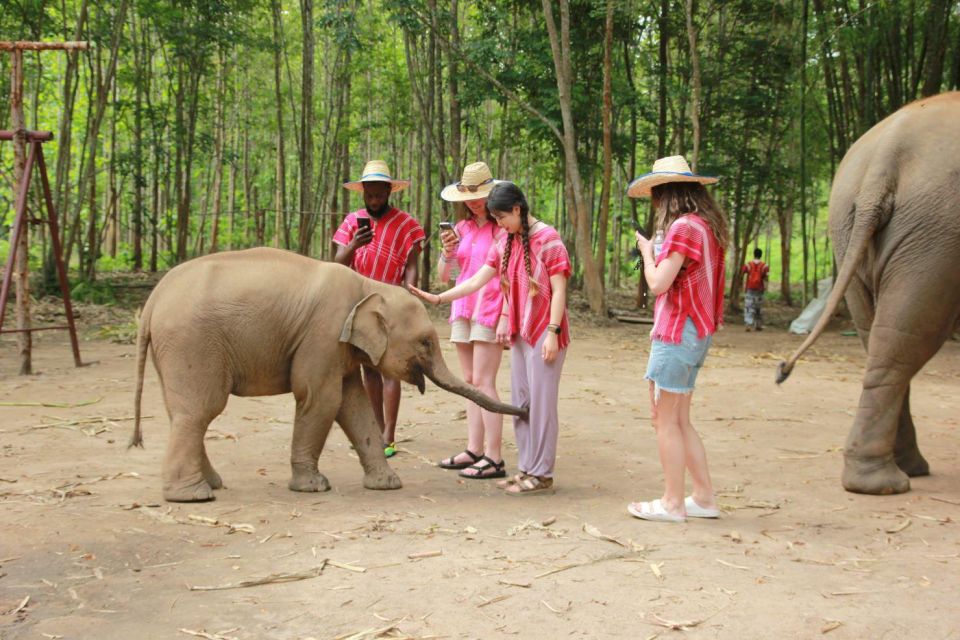 Chiang Mai: Full-Day Kerchor Elephant Eco Park Tour & Trek - How Kerchor’s Elephant Day Feels (And Why It’s Worth Your Time)