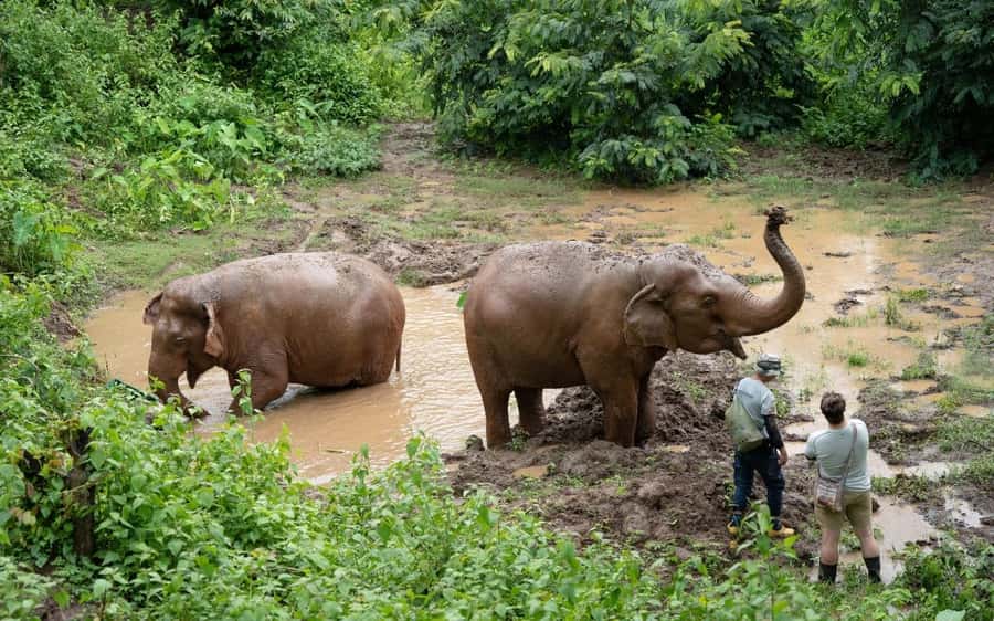 Chiang Mai Half-Day Adventure: River Tubing & Waterfall - Base camp reset: shower, tea, snacks, and the real comfort factor