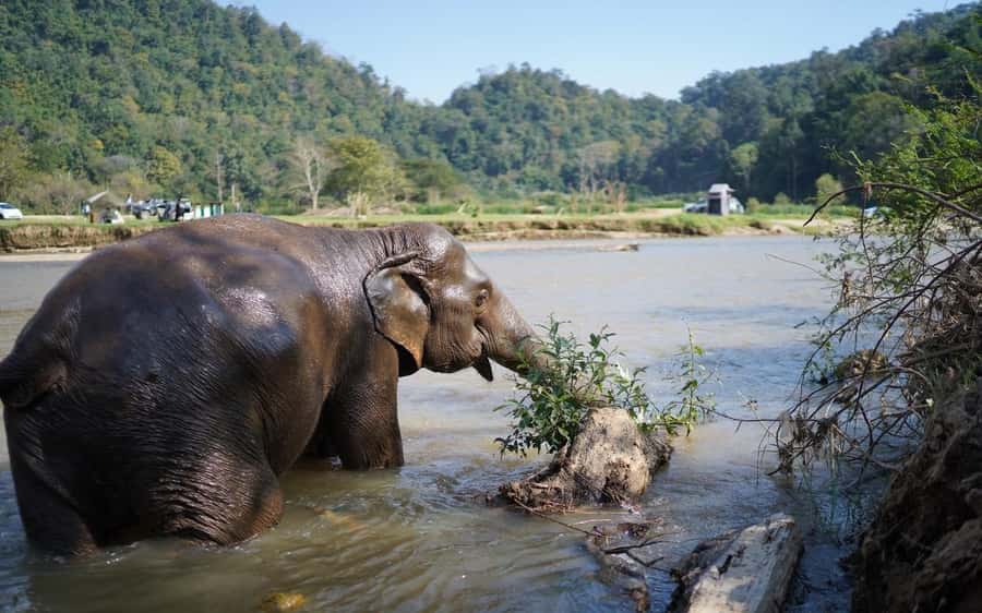 Chiang Mai Half-Day Adventure: River Tubing & Waterfall - Pickup and the base camp rhythm: how the timing works
