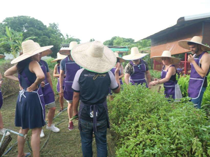 Chiang Mai: Half Day Cooking Class at Organic Farm - Who should book this cooking class in Chiang Mai (and who shouldn’t)