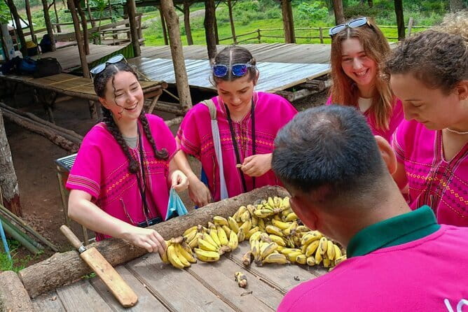 Chiang Mai Half Day Elephant Sanctuary Observation and Waterfall - Why this Chiang Mai elephant day feels worth your time