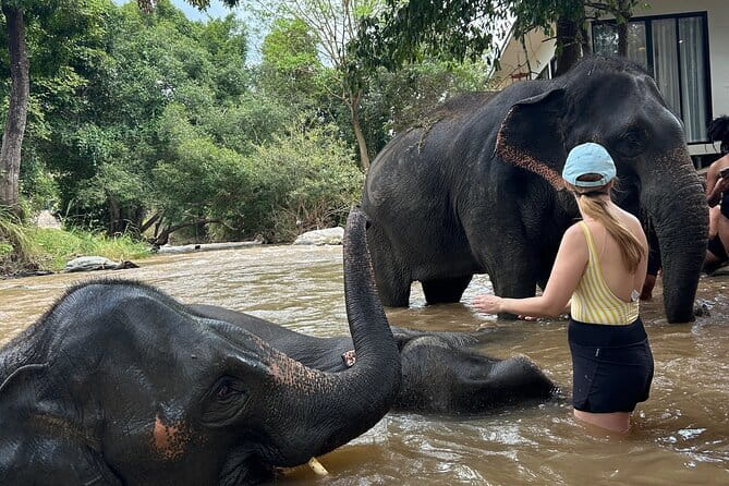 Chiang Mai Half Day Elephant Sanctuary Observation and Waterfall - Thai cultural souvenir craft: a keepsake with meaning