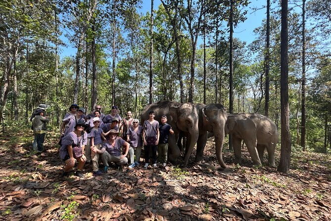 Chiang Mai Half Day Tour: Doi Inthanon Elephant Sanctuary - Doi Inthanon Elephant Sanctuary: what the ethics look like on the ground