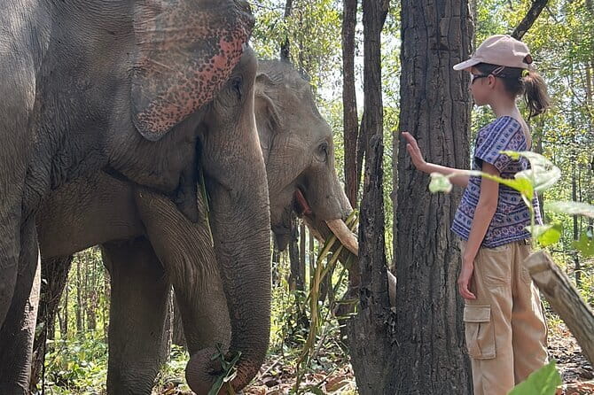 Chiang Mai Half Day Tour: Doi Inthanon Elephant Sanctuary - Karen Hill tribe guides: the cultural layer you don’t want to skip