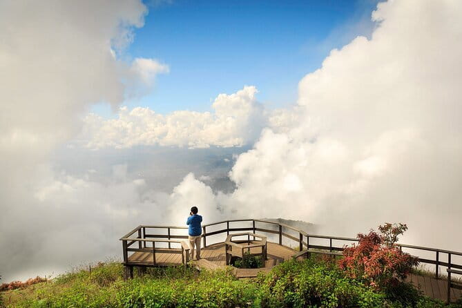 Chiang Mai Half Day Tour: Doi Inthanon Elephant Sanctuary - Lunch after the elephants: simple, included, and easy on logistics