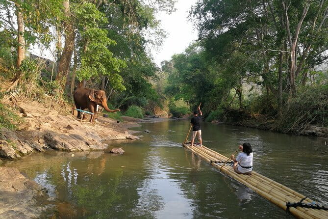 Chiang Mai Half Day Tour: Doi Inthanon Elephant Sanctuary - Who this tour fits best (and who should think twice)