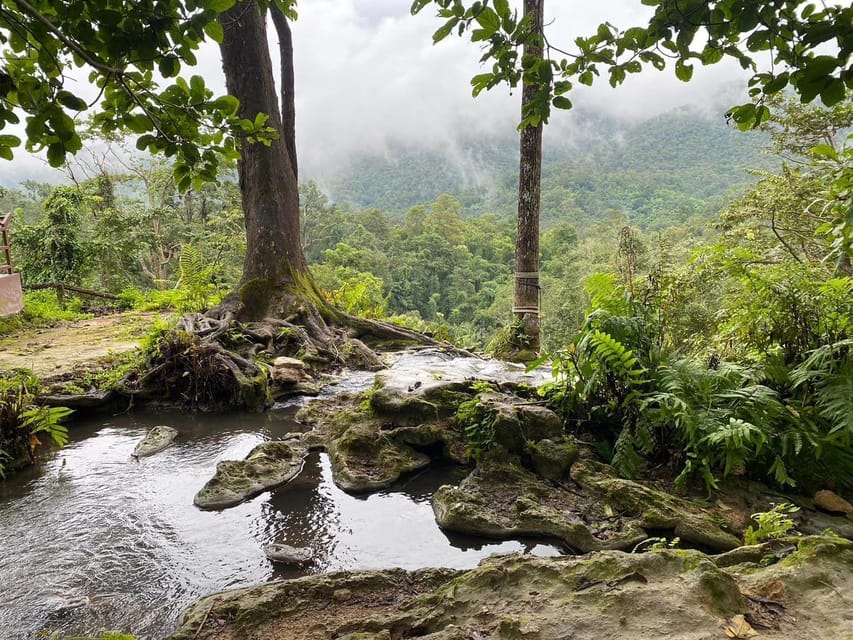 Chiang Mai Half Day Tour: Sticky Waterfall & Hotel Transfer - Bua Tong Sticky Waterfalls: Why the Climb Feels Like Spider-Man