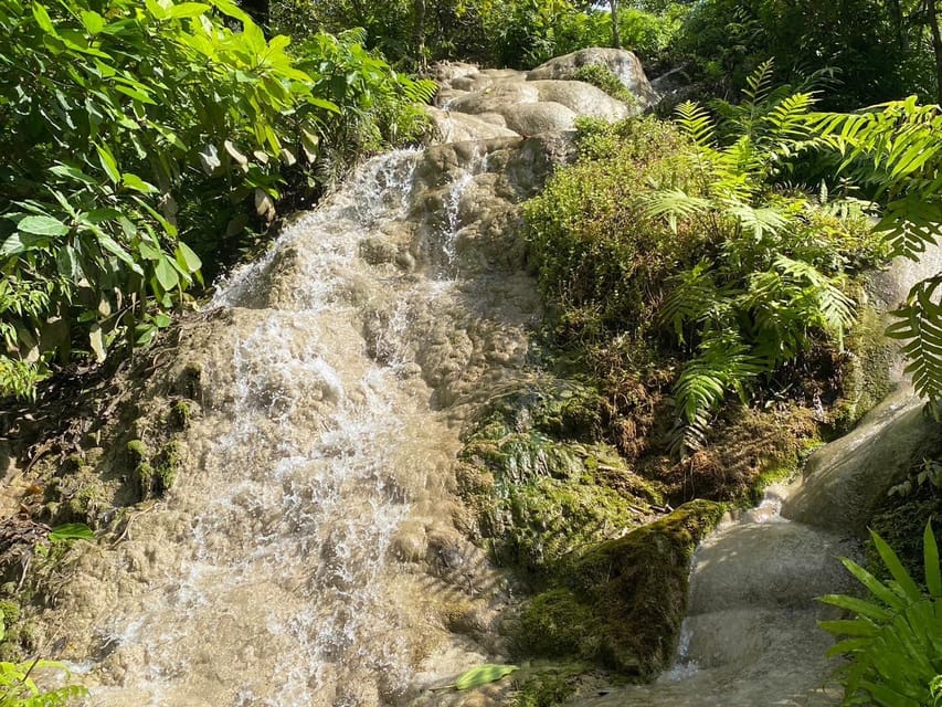 Chiang Mai Half Day Tour: Sticky Waterfall & Hotel Transfer - Burger King Tha Pae to the Falls: Planning Your Start Time