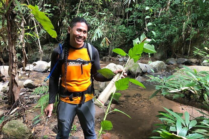 Chiang Mai: Inthanon, Elephant Sanctuary Observation & Waterfall - Price and value: $81.12 for a full day that isn’t cheap, but is structured