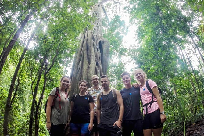 Chiang Mai: Inthanon, Elephant Sanctuary Observation & Waterfall - Who this suits best (and who should think twice)