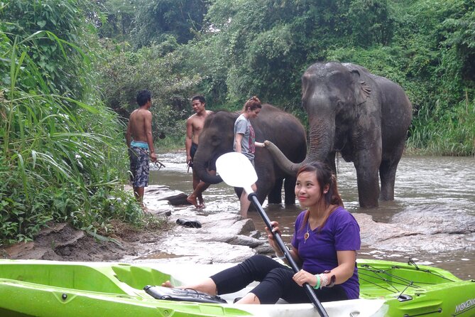 Chiang Mai: Jungle Kayak Adventure with Rapids & Elephants - What to pack for elephants, rapids, and the horse-fly reality