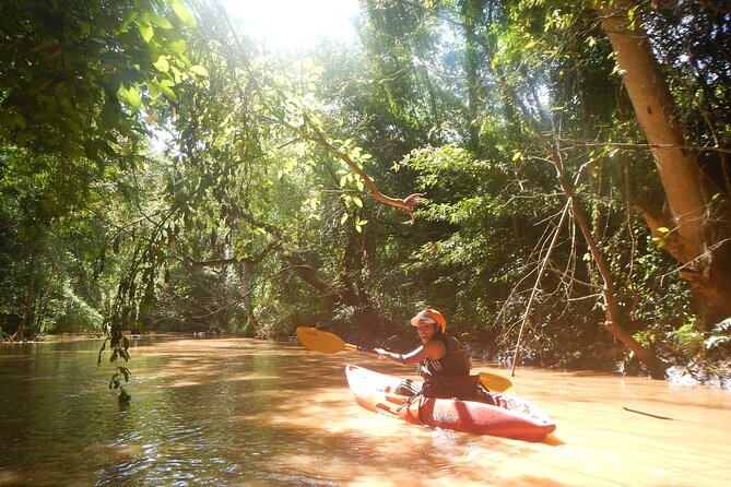 Chiang Mai : Kayak the Jungle Rivers of Chiang Dao Valley! - Wildlife spotting: when the guide’s eyes matter