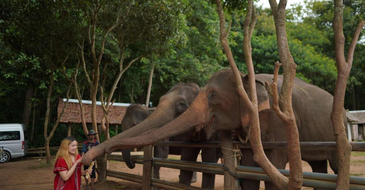 Chiang Mai: National Elephant Care, Rafting, & Ziplines Trip - Key things to know before you go