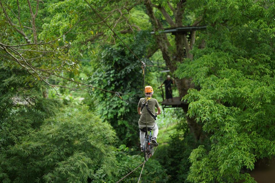 Chiang Mai: National Elephant Care, Rafting, & Ziplines Trip - Herbal vitamin balls: the fun activity that teaches real elephant care