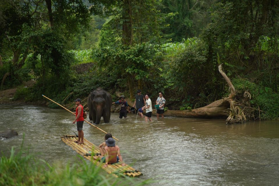 Chiang Mai: National Elephant Care, Rafting, & Ziplines Trip - Mae Wang zipline: forest views, suspension crossings, and a lot of platforms