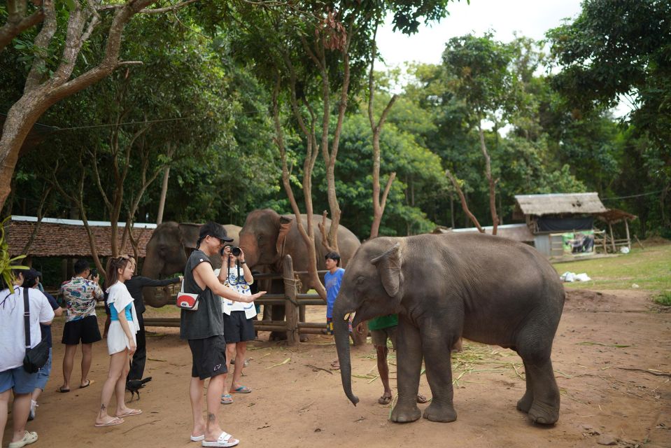 Chiang Mai: National Elephant Care, Rafting, & Ziplines Trip - Elephant time at Mae Wang: close, calm, and very hands-on