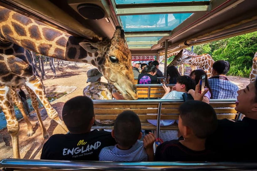 Chiang Mai Night Safari Ticket & Tram Rides Optional Pickup - After the tram: walking trails at your own pace (and how to use them well)