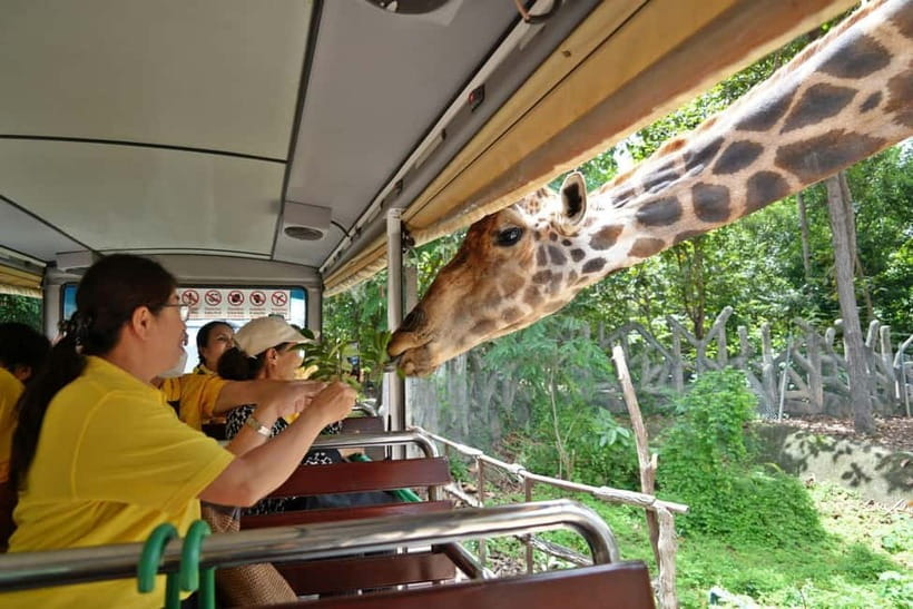 Chiang Mai Night Safari Ticket & Tram Rides Optional Pickup - Price and value: is $34 a good deal for Chiang Mai Night Safari?