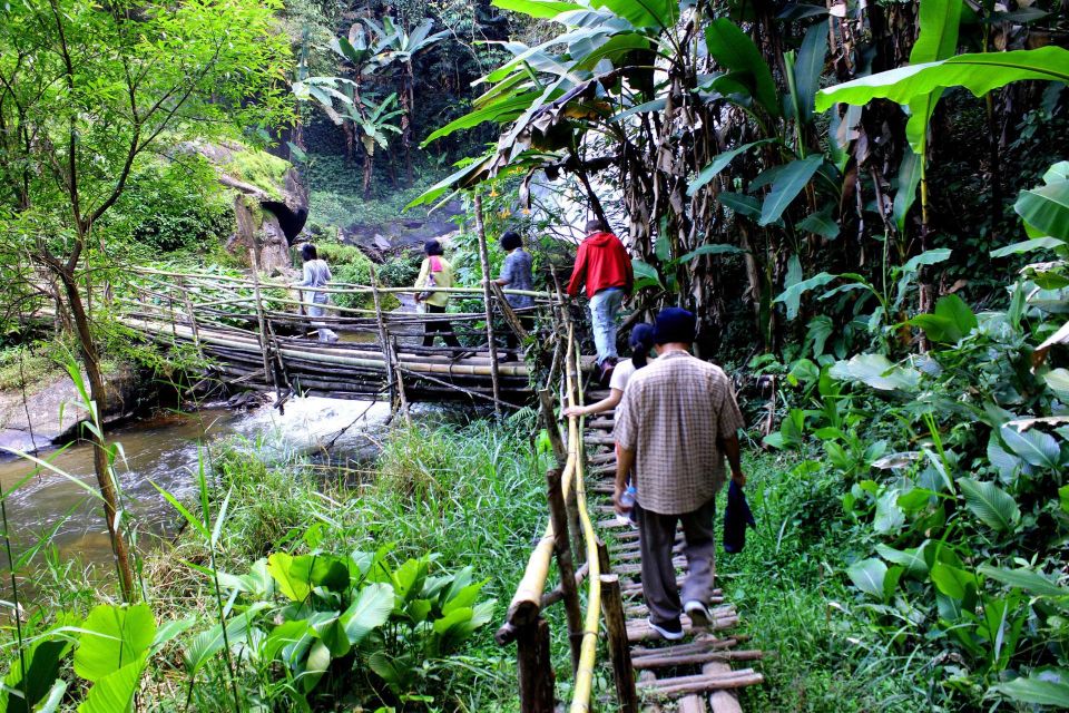 Chiang Mai: Pha Dok Siew Nature Trail & Doi Inthanon Trip - White Karen Coffee Plantation Stop and Traditional Lunch